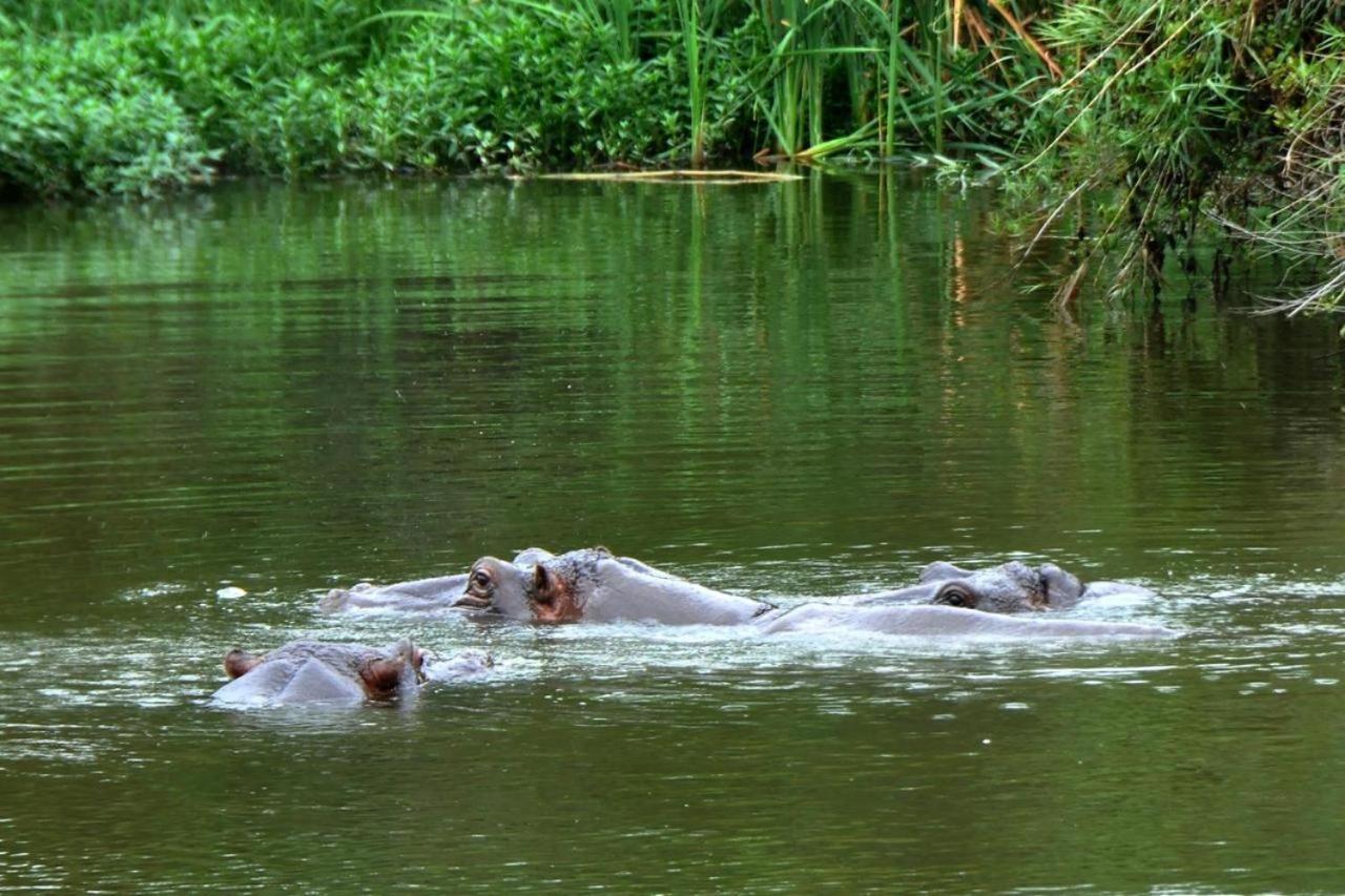 Legend Safaris - Kruger Park Lodge 257A Hazyview Eksteriør billede